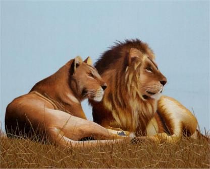 Лев и львица в степи