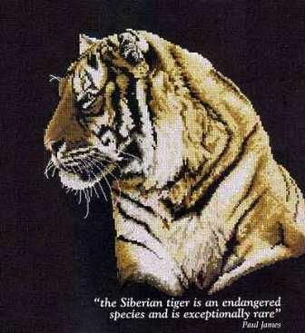 Величественный Тигр